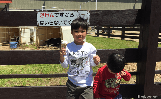 Ice-cream at Sapporo Satoland, Hokkaido