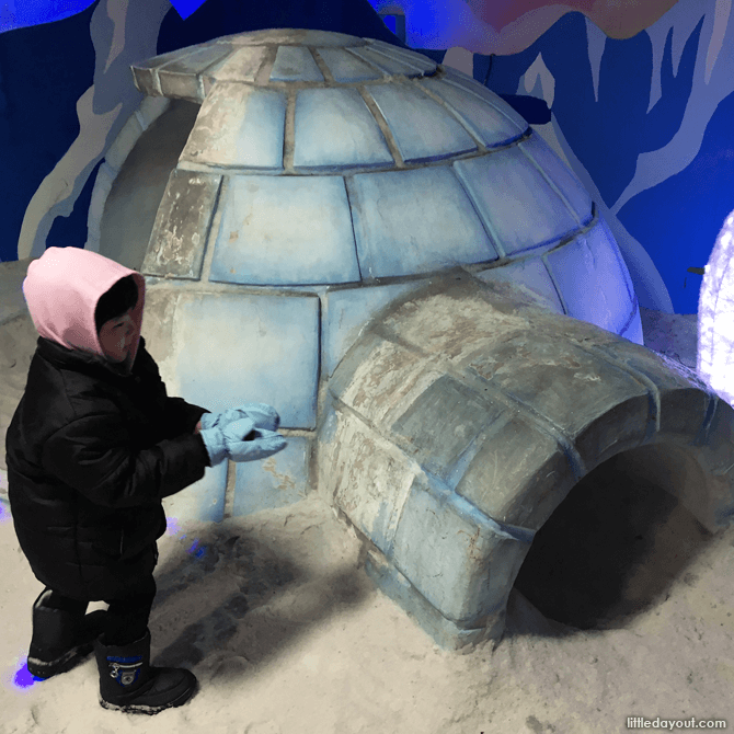 Igloo at Snow City