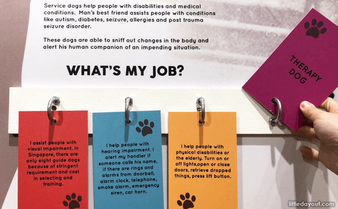 Learn about the jobs that dogs do.