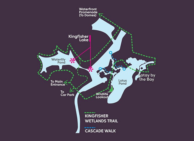 Kingfisher Wetlands Trail