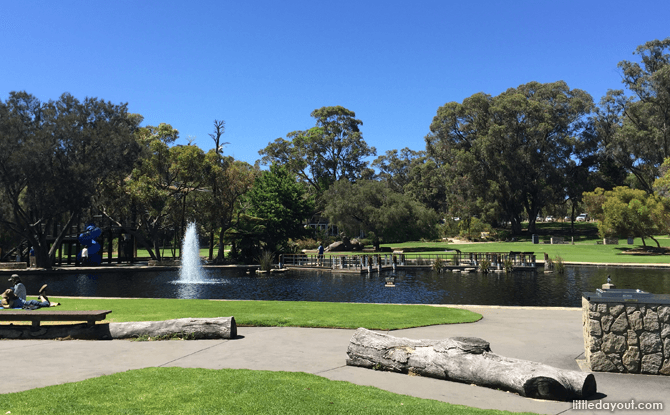 Synergy Parkland in Kings Park