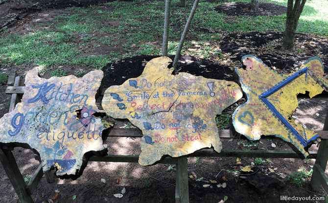 Kitchen garden at Pasir Ris