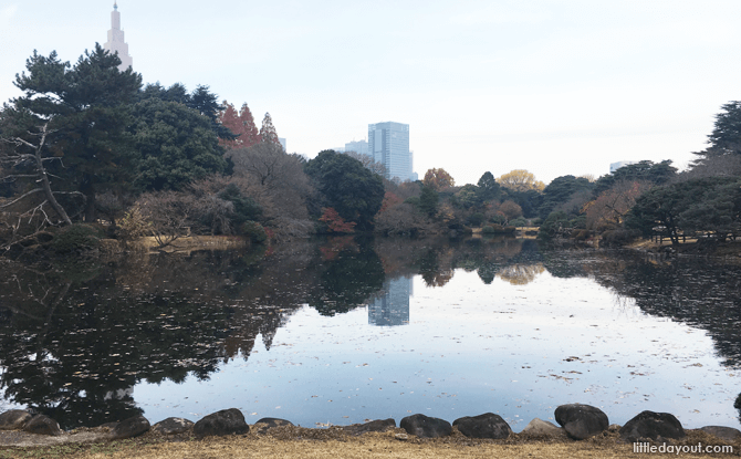 View at Shinjuku Gyoen National Garden