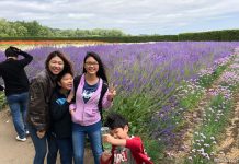 Hokkaido Summer Itinerary: Shades Of Lavender And Blue