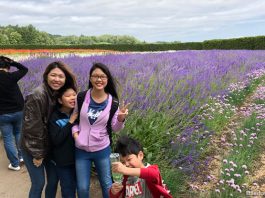 Hokkaido Summer Itinerary: Shades Of Lavender And Blue