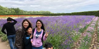 Hokkaido Summer Itinerary: Shades Of Lavender And Blue