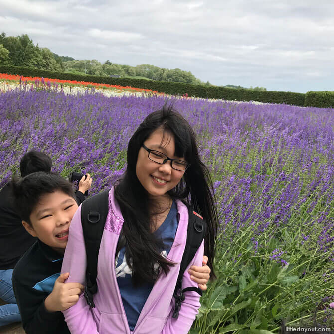 Farm Tomita, Lavender Fields