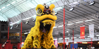 Lion Dance