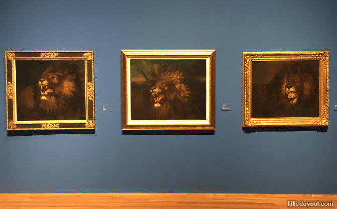 Study of Lions by Radin Saleh