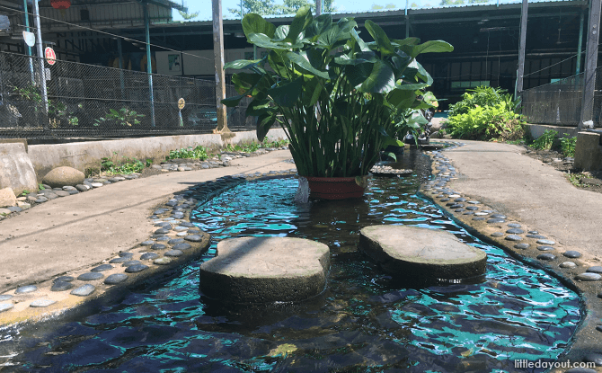 Waterway for longkang fishing at Mainland Tropical Fish Farm