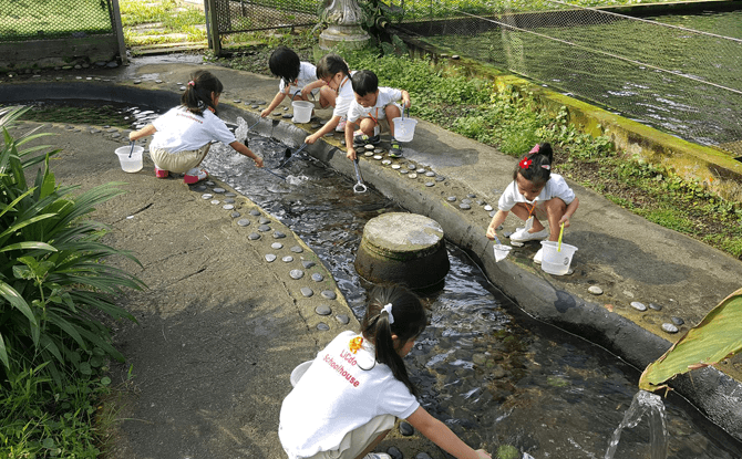 Longkang Fishing at Mainland Tropical Fish Farm