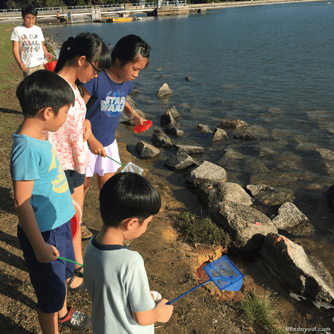 Lower Peirce Reservoir Park