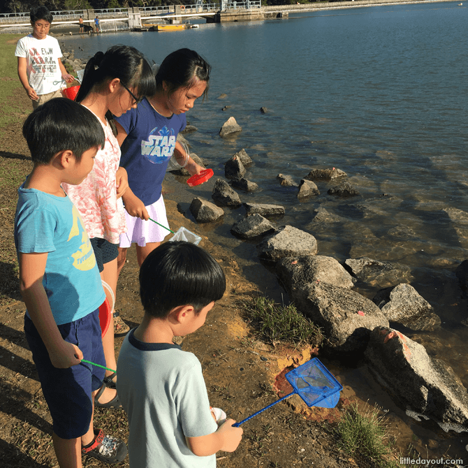 Looking for yabbies at Lower Peirce Reservoir's fishing grounds