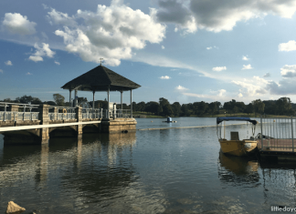 Lower Peirce Reservoir: Yabby Catching, Scenic Park and Boardwalk Strolls Lower Peirce Reservoir Park