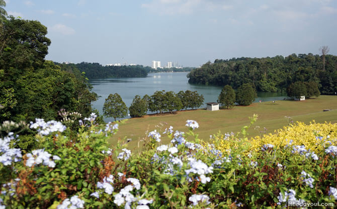 View of Lower Peirce Reservoir from the Upper Peirce Reservoir dam