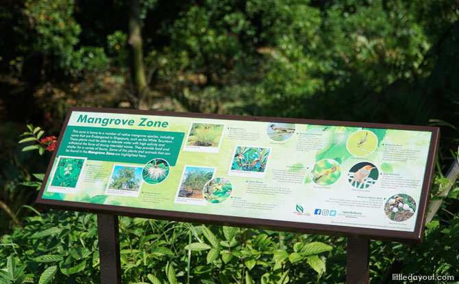 Mangrove Zone, Marsiling Park