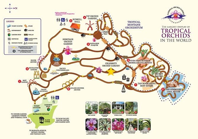 Tropical Montane Orchidetum Opens At National Orchid Garden: “Ascend A Mountain” Through Three Display Houses 7 Tropical Montane Orchidetum