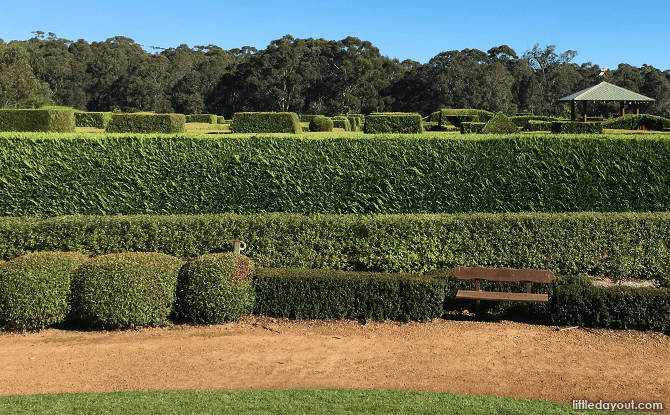 Hedge maze at A Maz’n Margaret River