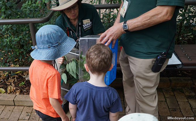 Melbourne Zoo