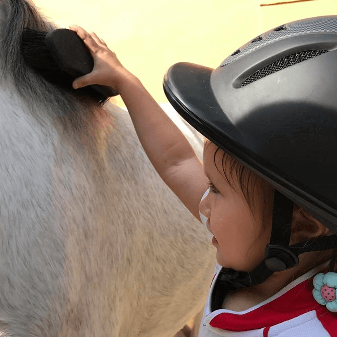Pony Grooming at I'm Proud of You Family Festival