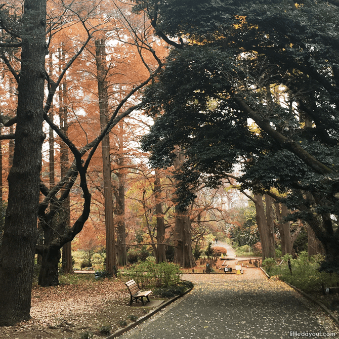 Forested walks at Shinjuku Gyoen