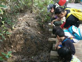No Wildlife in Singapore? Wildlife Volunteer Groups In Singapore Will Prove You Dead Wrong!