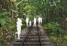 New Nature Trails To Be Rolled Out In Clementi: Old Jurong Line Nature Trail & Clementi Nature Trail New Nature Trails To Be Rolled Out In Clementi: Old Jurong Line Nature Trail & Clementi Nature Trail