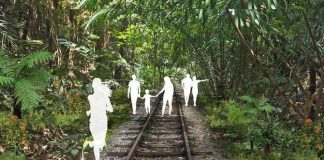 New Nature Trails To Be Rolled Out In Clementi: Old Jurong Line Nature Trail & Clementi Nature Trail