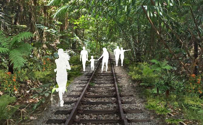 New Nature Trails To Be Rolled Out In Clementi: Old Jurong Line Nature Trail & Clementi Nature Trail