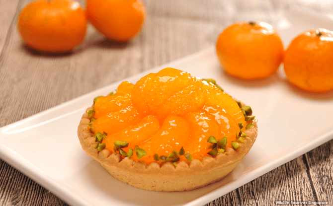 Mandarin Orange Cheese Tart at Singapore Zoo's Wild Deli