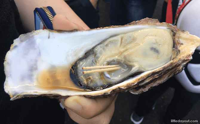 Raw Oysters