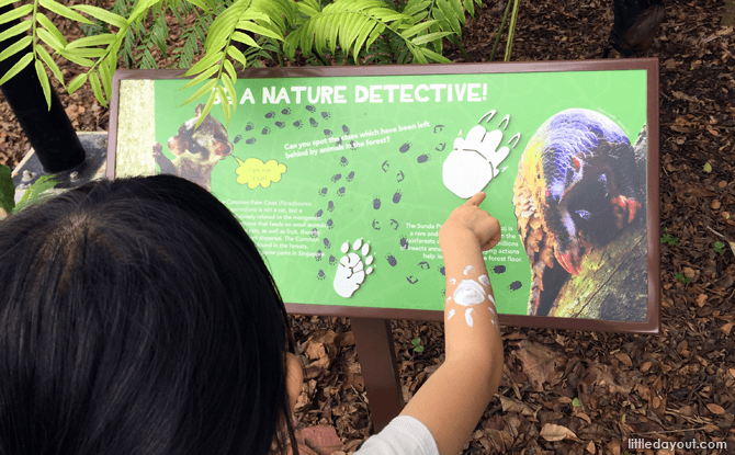 Learning from information panels at Jacob Ballas Children's Garden