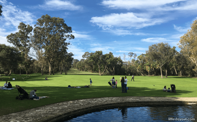 Kings Park, Perth