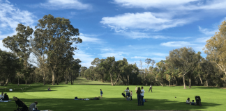 King's Park, Perth Attraction with Kids