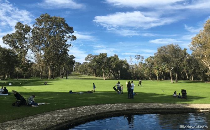 Top Perth Attractions To Visit With Kids King's Park, Perth Attraction with Kids