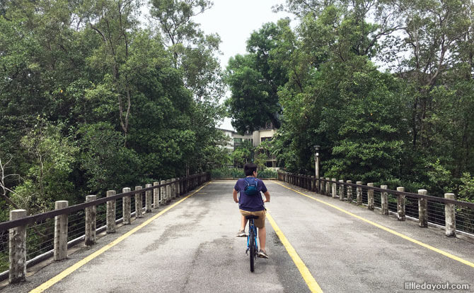 Cycling at Pasir Ris Park