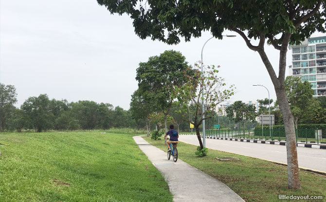 Cycling towards Loyang along Pasir Ris Drive 4