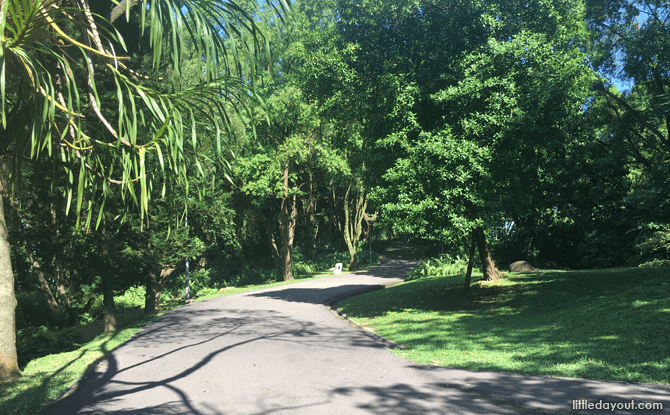 Kent Ridge Park: Tranquility in the Woods - Little Day Out