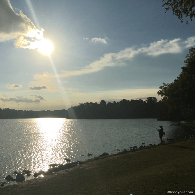 Sunset at Lower Peirce Reservoir Park