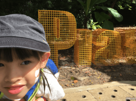 25 Best Free Things To Do In Singapore With Kids