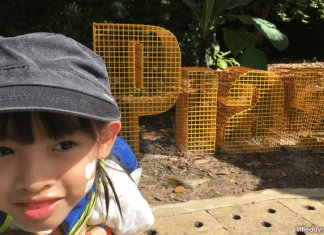 25 Best Free Things To Do In Singapore With Kids 25 Best Free Things To Do In Singapore With Kids