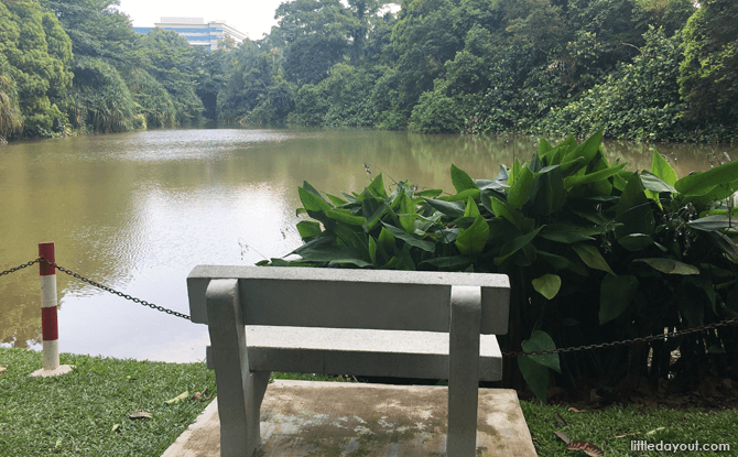 Kent Ridge Park Pond