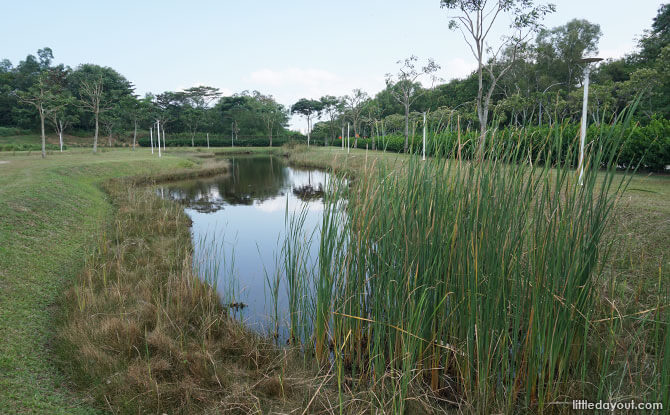 Ponds at Lorong Halus Wetland