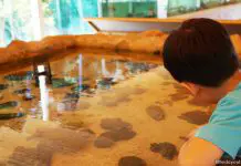 Viewing Pool at the Sisters Island Public Gallery