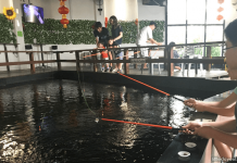 Prawning Places In Singapore: Where To Go To Catch Prawns Prawning Places In Singapore: Where To Go To Catch Prawns