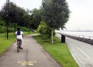 e-punggol