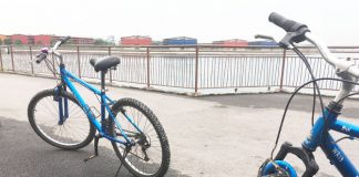 Punggol Cycling Route: A Tour Through Different Landscapes