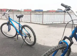 Punggol Cycling Route: A Tour Through Different Landscapes