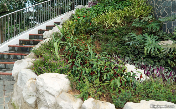 Rain garden at the Viewing Tower, Marsiling Park