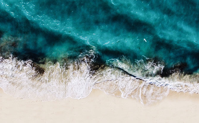 Plastic Pollution: 5 Facts To Know About Plastic Pollution: 5 Facts To Know About